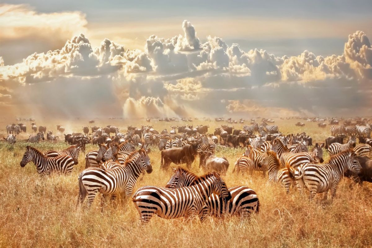Serengeti National Park