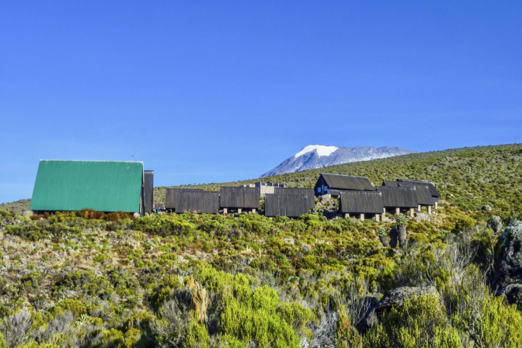 Horombo Hut to Mawenzi Ridge – Mawenzi Ridge to Horombo Hut
