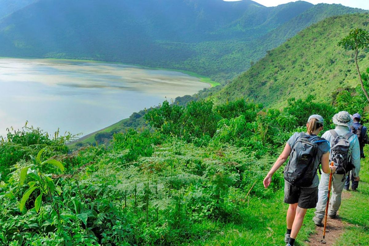 Ngorongoro Crater Rim